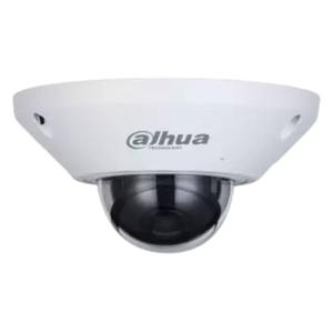 Dahua IPC-EB5541-AS 5MP WizMind buiten panoramische fisheye dome camera met microfoon, PoE en SD slot