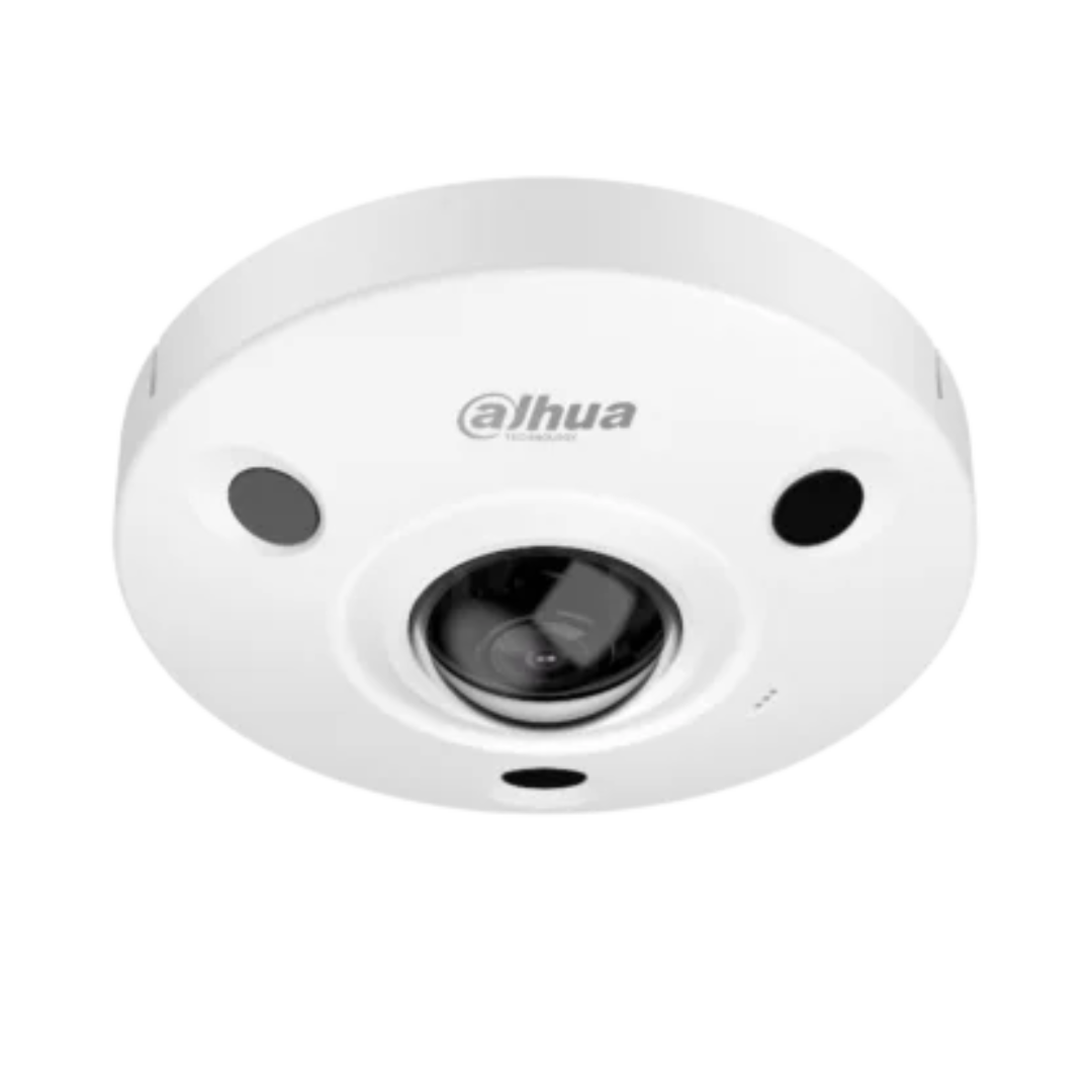 Dahua 4K panoramische dome camera