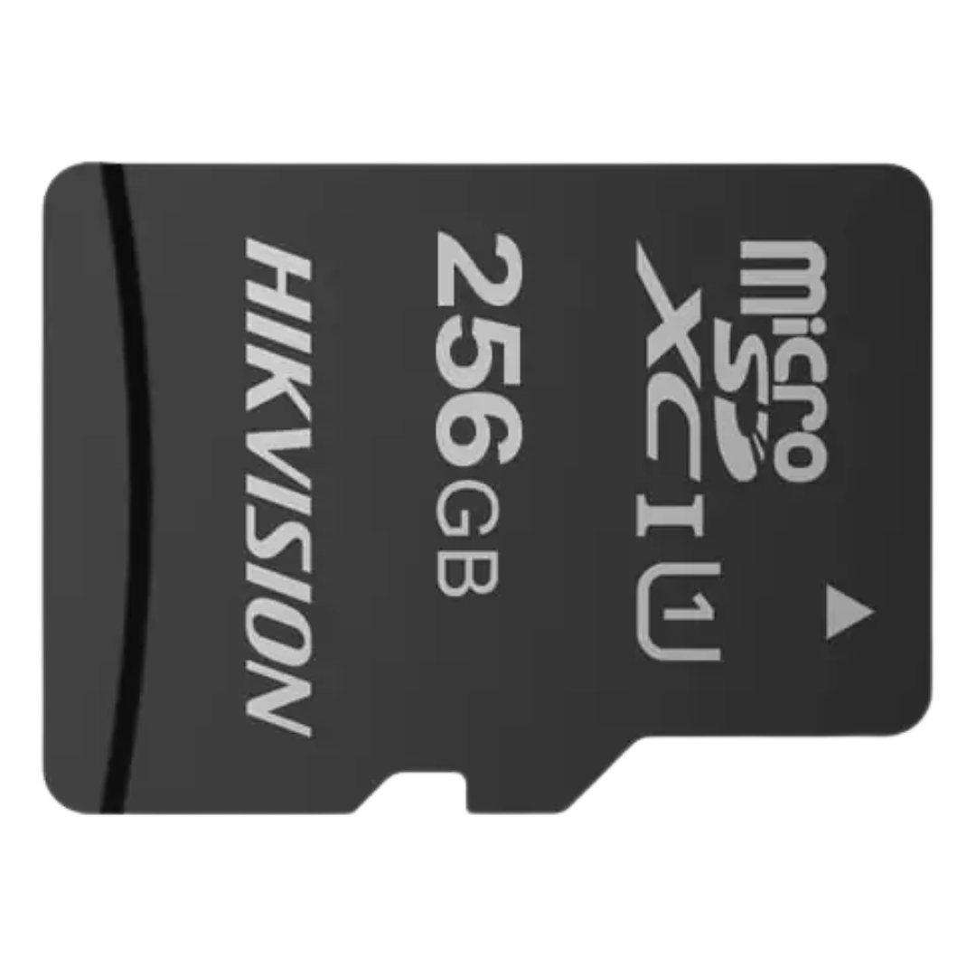 Hikvision HS-TF-C1STD/256G microSD