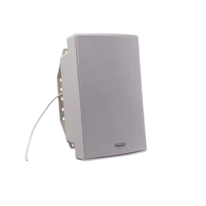 Tonmind SIP-S11T wand of plafond 30Watt IP luidspreker met PoE,  SIP,  ONVIF voor binnen of buiten