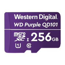 Western Digital WDD256G1P0C 256GB