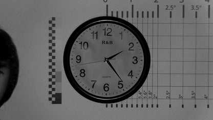 Dahua - PTZ camera - SD49216DB-HNY